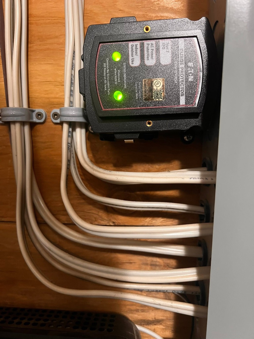 Whole home surge protection electrical service